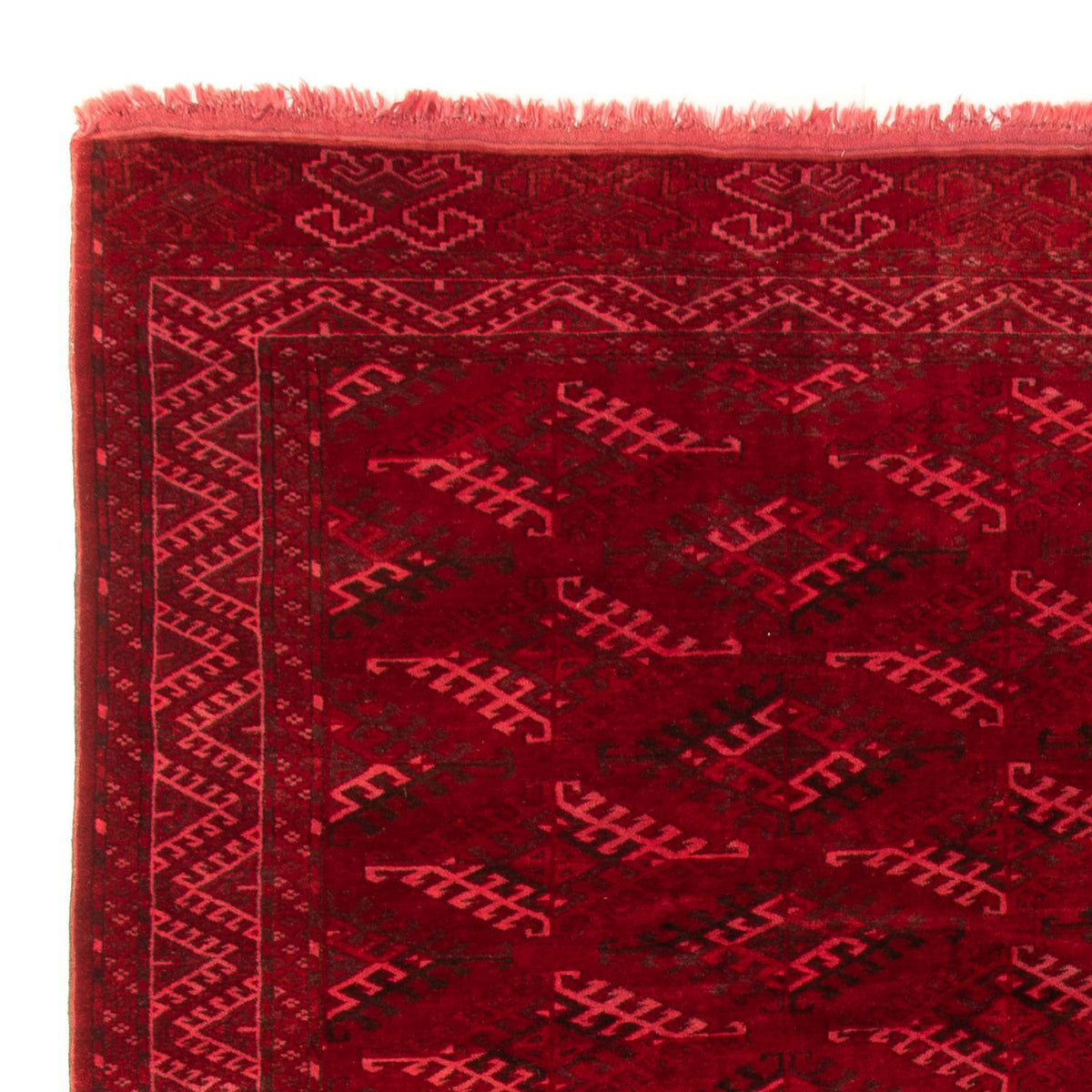 Afghan Rug - 323 x 279 cm - red