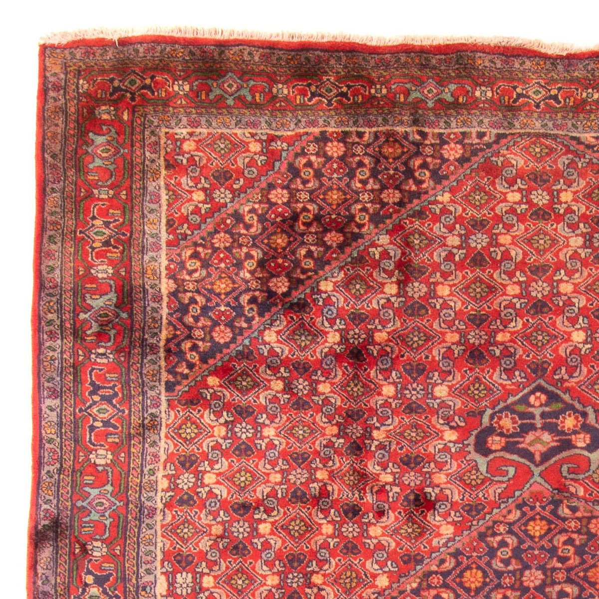 Perser Rug - Nomadic - 290 x 203 cm - red