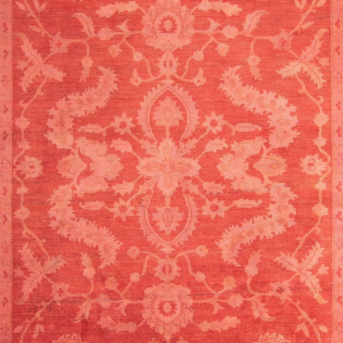 Ziegler Rug - 365 x 256 cm - light red