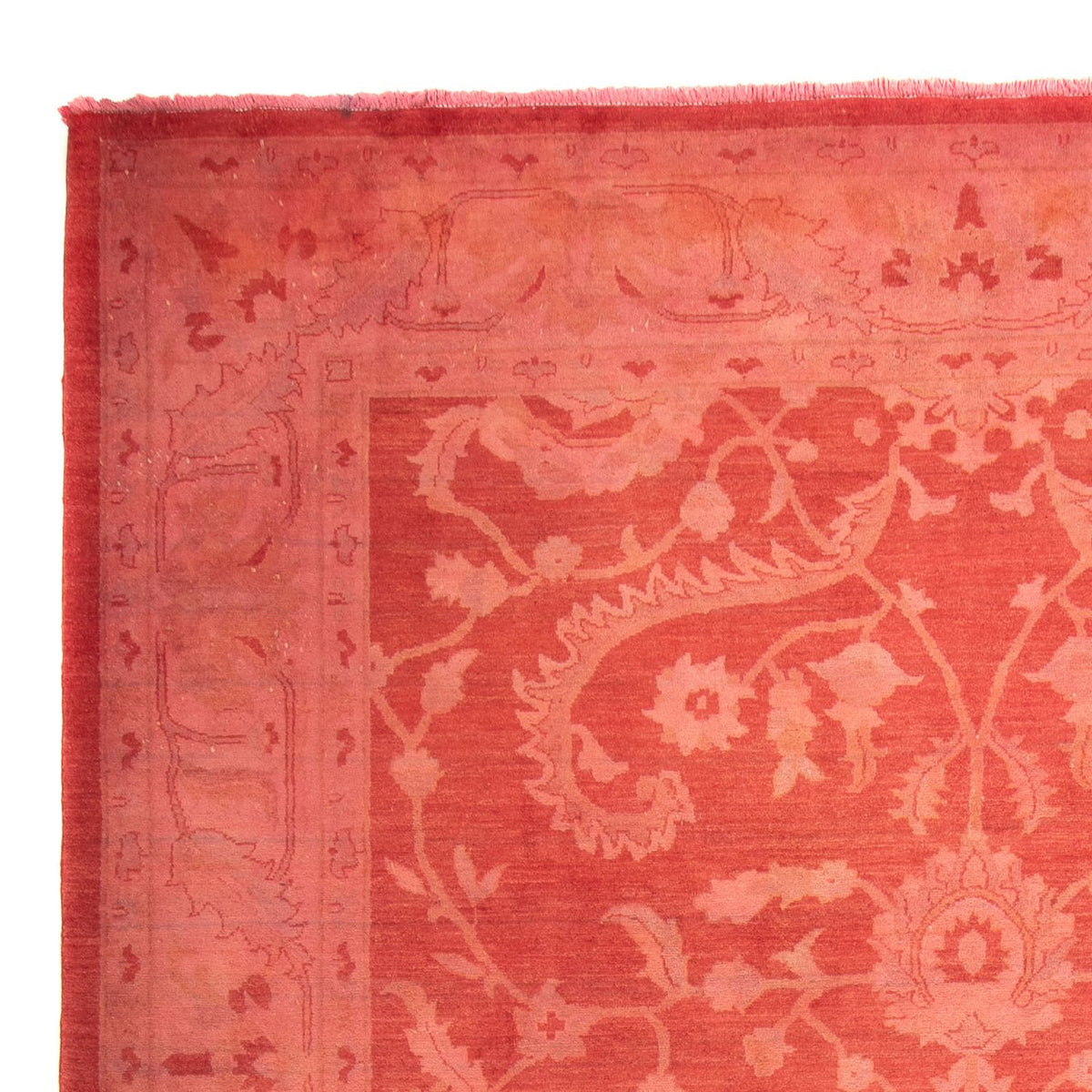 Ziegler Rug 256x365cm - Oriental Rug