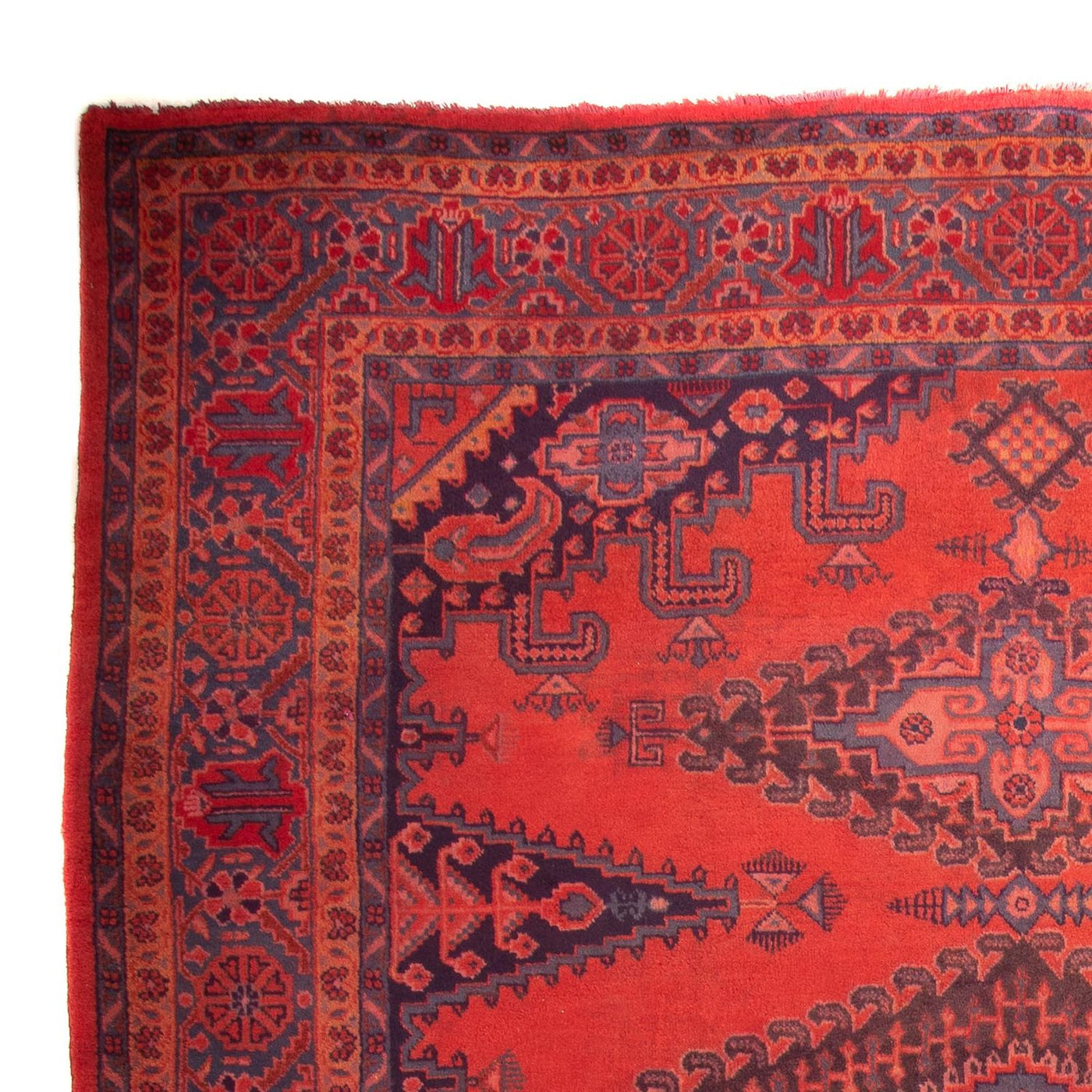 Wiss Rug 335x225cm - Persian Rugs