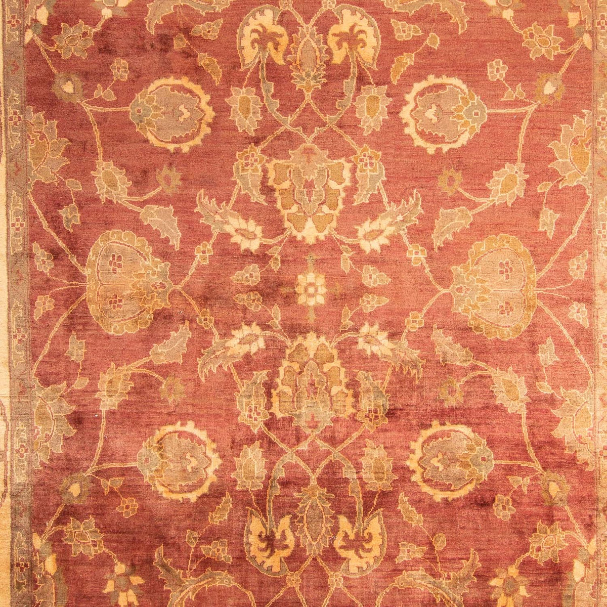 Ziegler Rug - 357 x 252 cm - rust