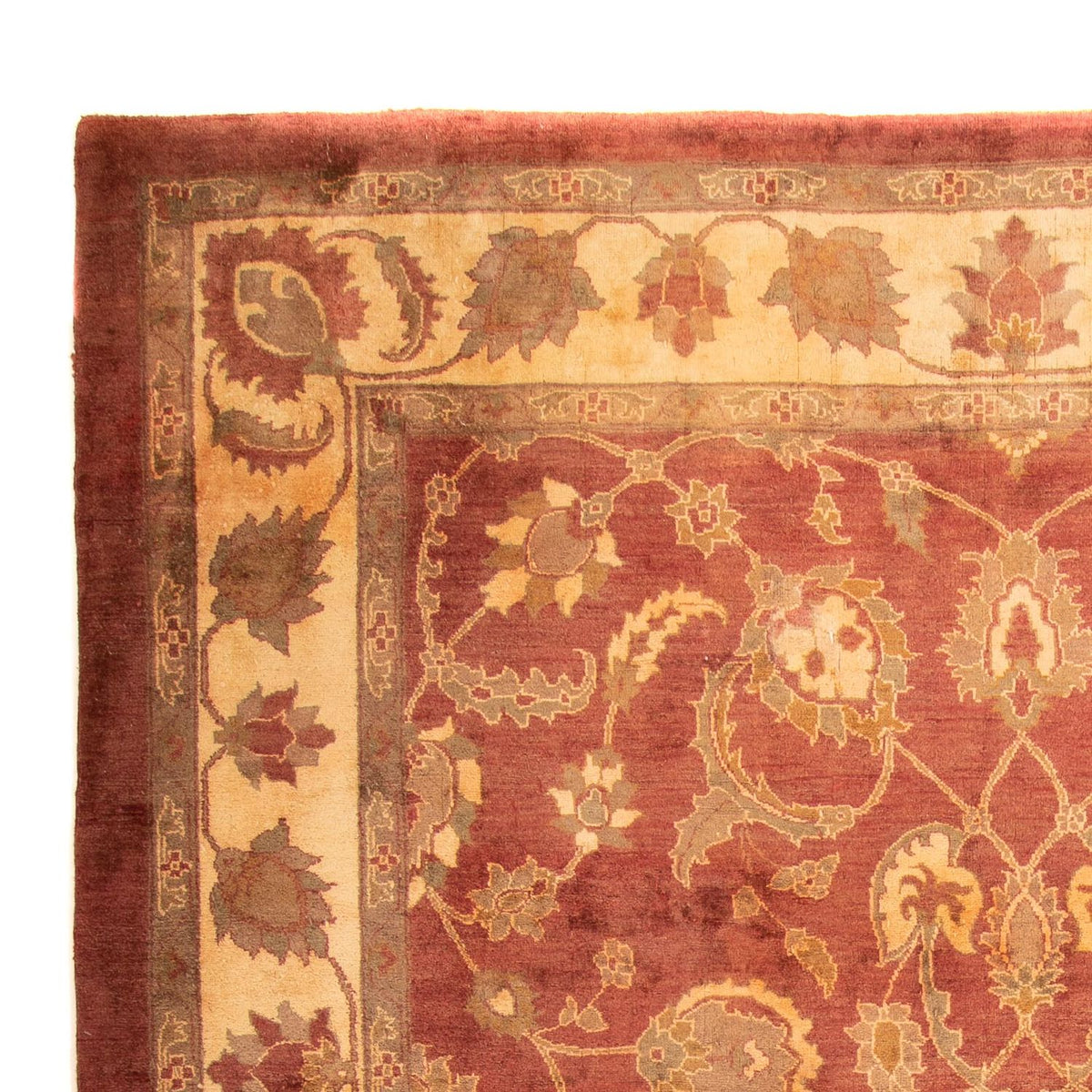 Ziegler Rug - 357 x 252 cm - rust