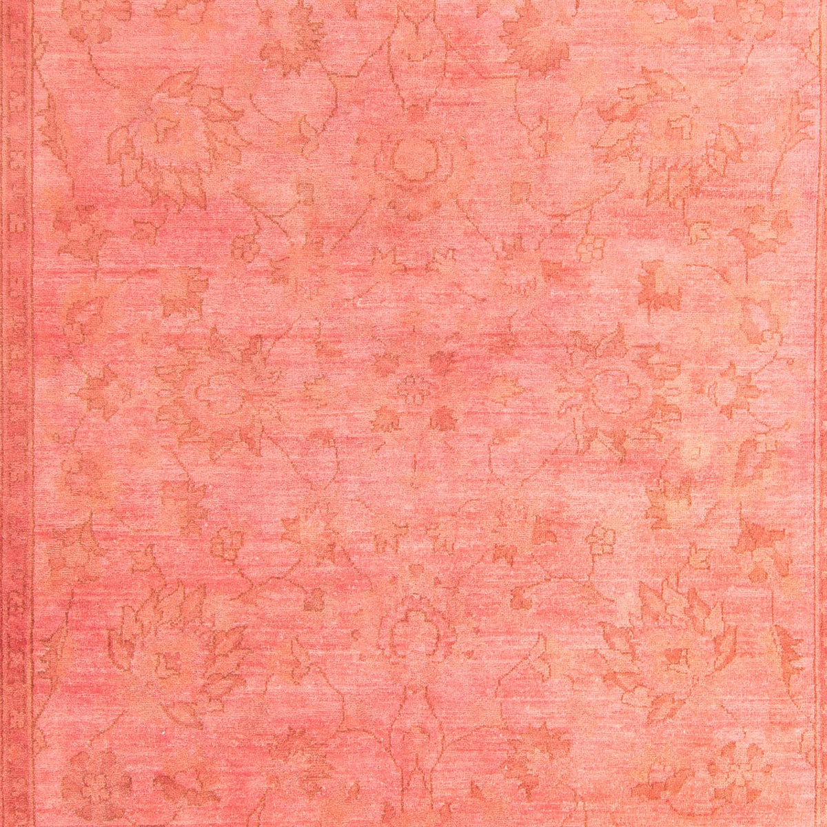 Ziegler Rug - 305 x 204 cm - rose