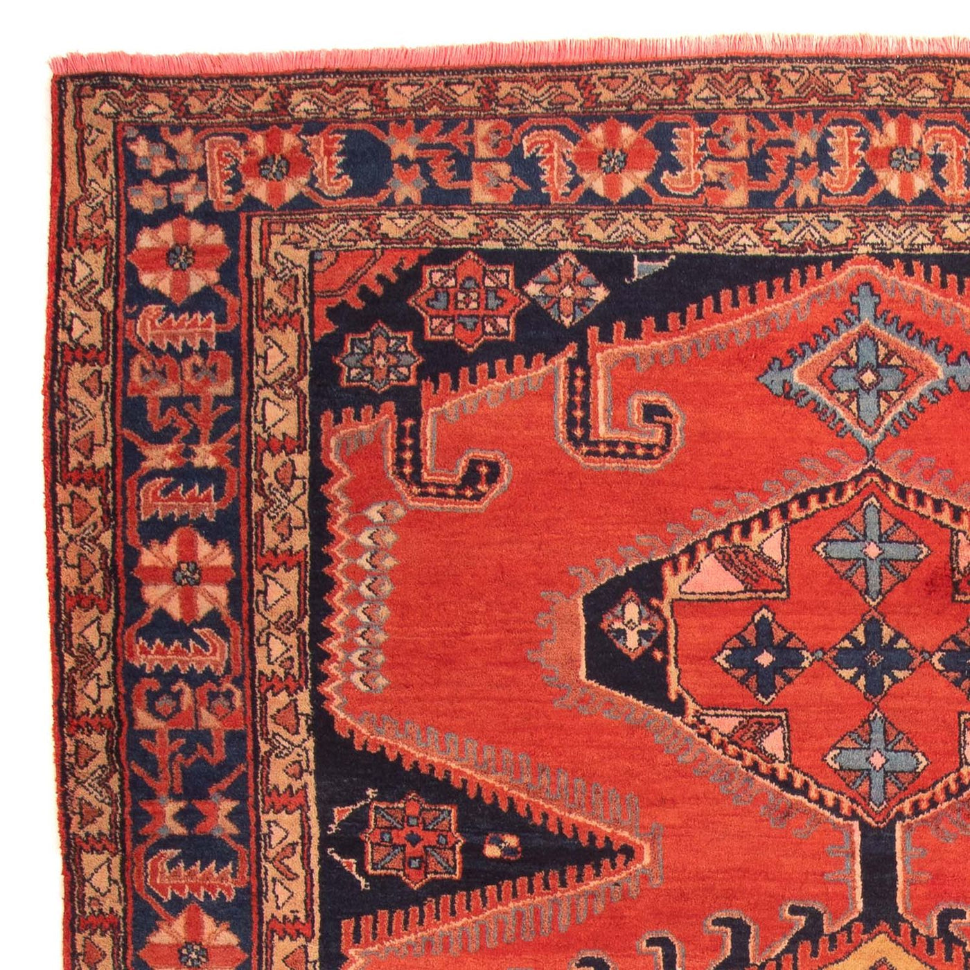 Wiss Rug 315x211cm - Persian Rugs