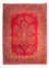 Perser Rug - Classic - 338 x 235 cm - red
