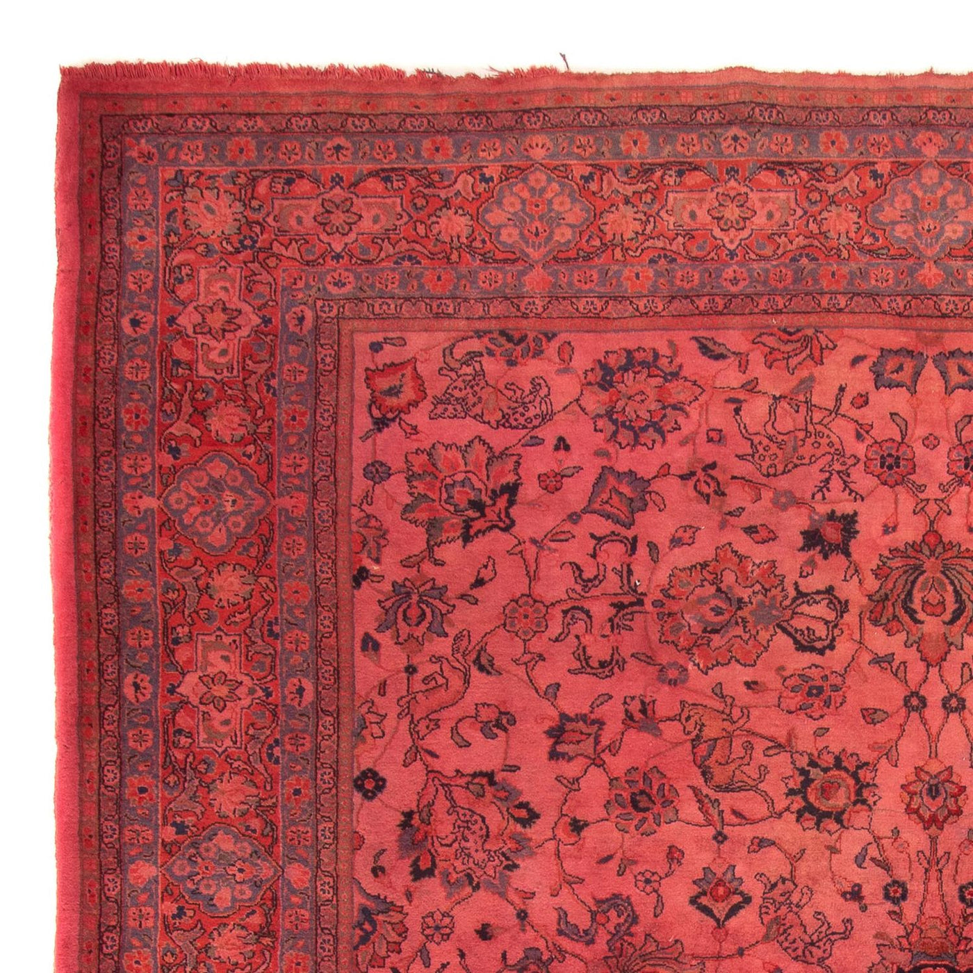 Sarouk Rug 349x244cm - Persian Rugs