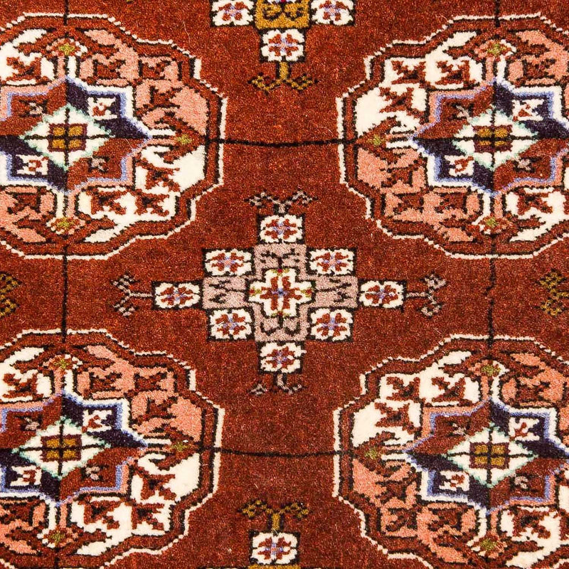 Turkaman Rug - 154 x 103 cm - brown