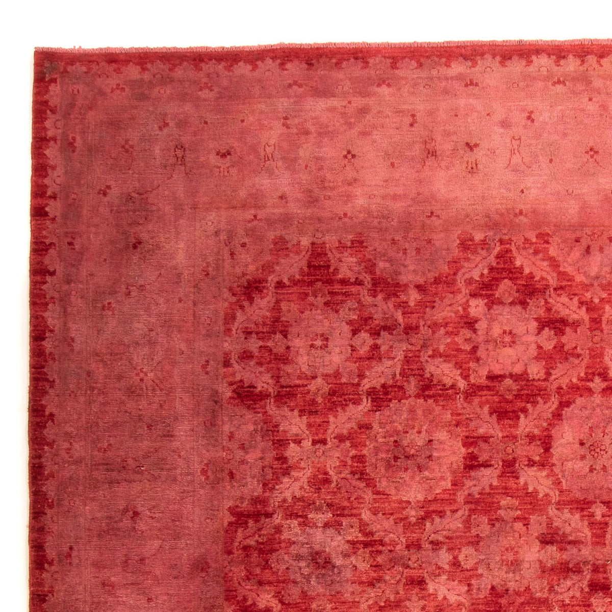Ziegler Rug - 303 x 244 cm - light red