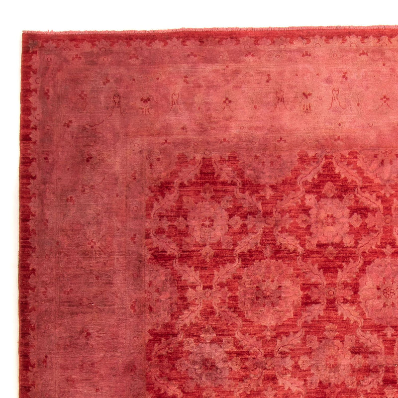 Ziegler Rug - 303 x 244 cm - light red