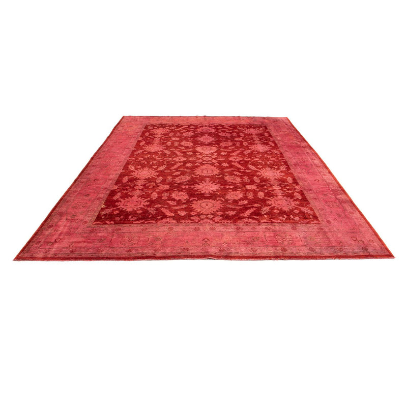Ziegler Rug - 330 x 240 cm - light red