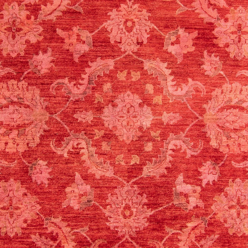 Ziegler Rug - 350 x 222 cm - light red