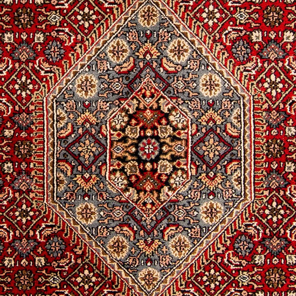 Oriental Rug - Bidjar - Indus - 305 x 199 cm - red