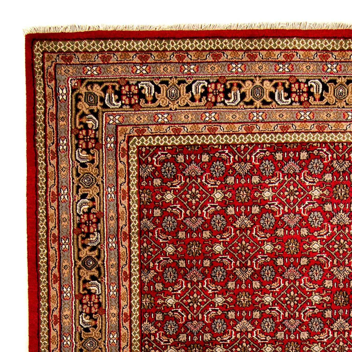 Oriental Rug - Bidjar - Indus - 300 x 200 cm - red