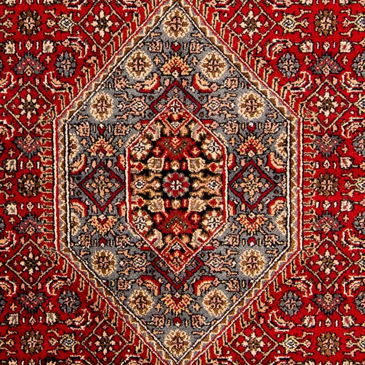 Oriental Rug - Bidjar - Indus - 300 x 200 cm - red