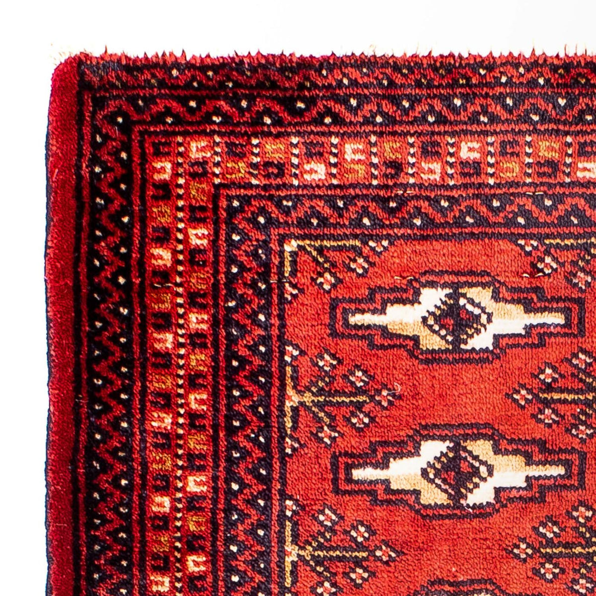 Turkaman Rug 67x88cm - Oriental Rug
