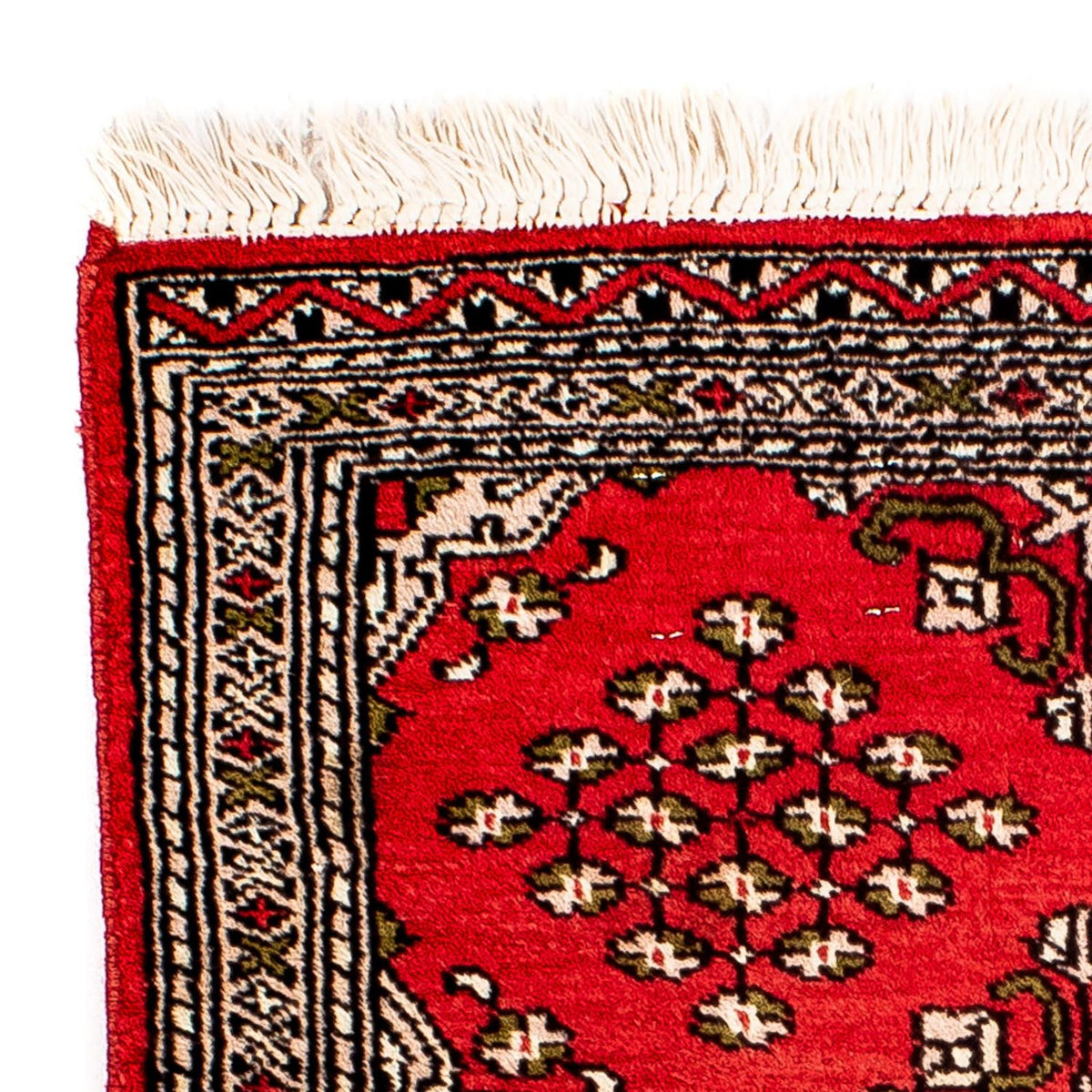 Pakistani Rug 62x63cm - Oriental Rug