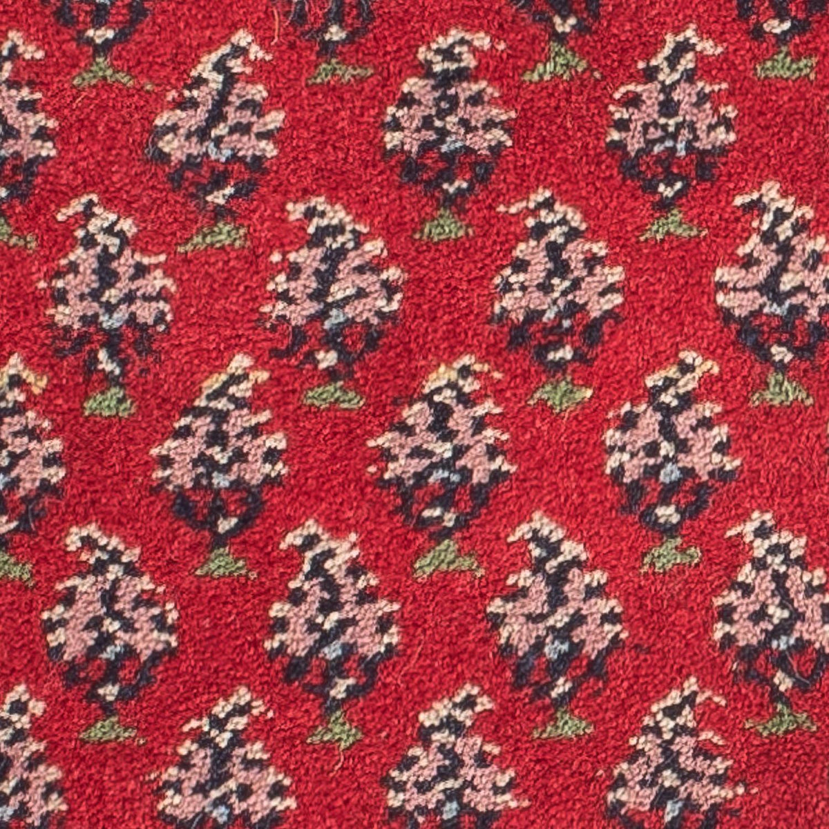 Oriental Rug - Mir - Indus - 61 x 41 cm - red