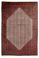 Kolyai Rug 310x210cm - Persian Rugs