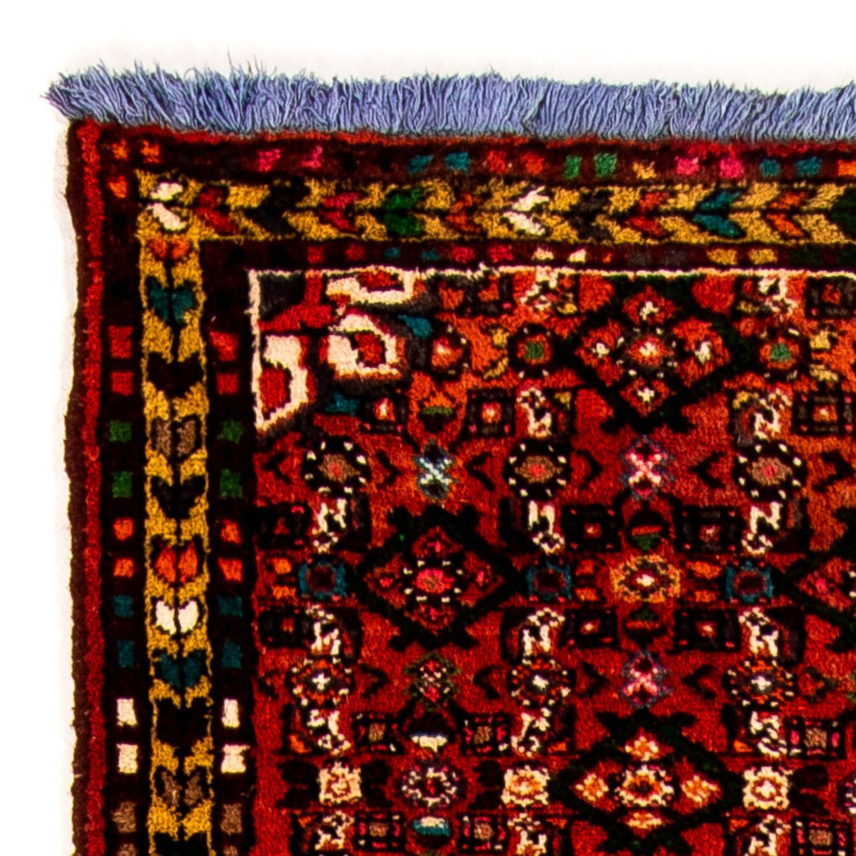 Hamadan Rug 70x320cm - Persian Rugs