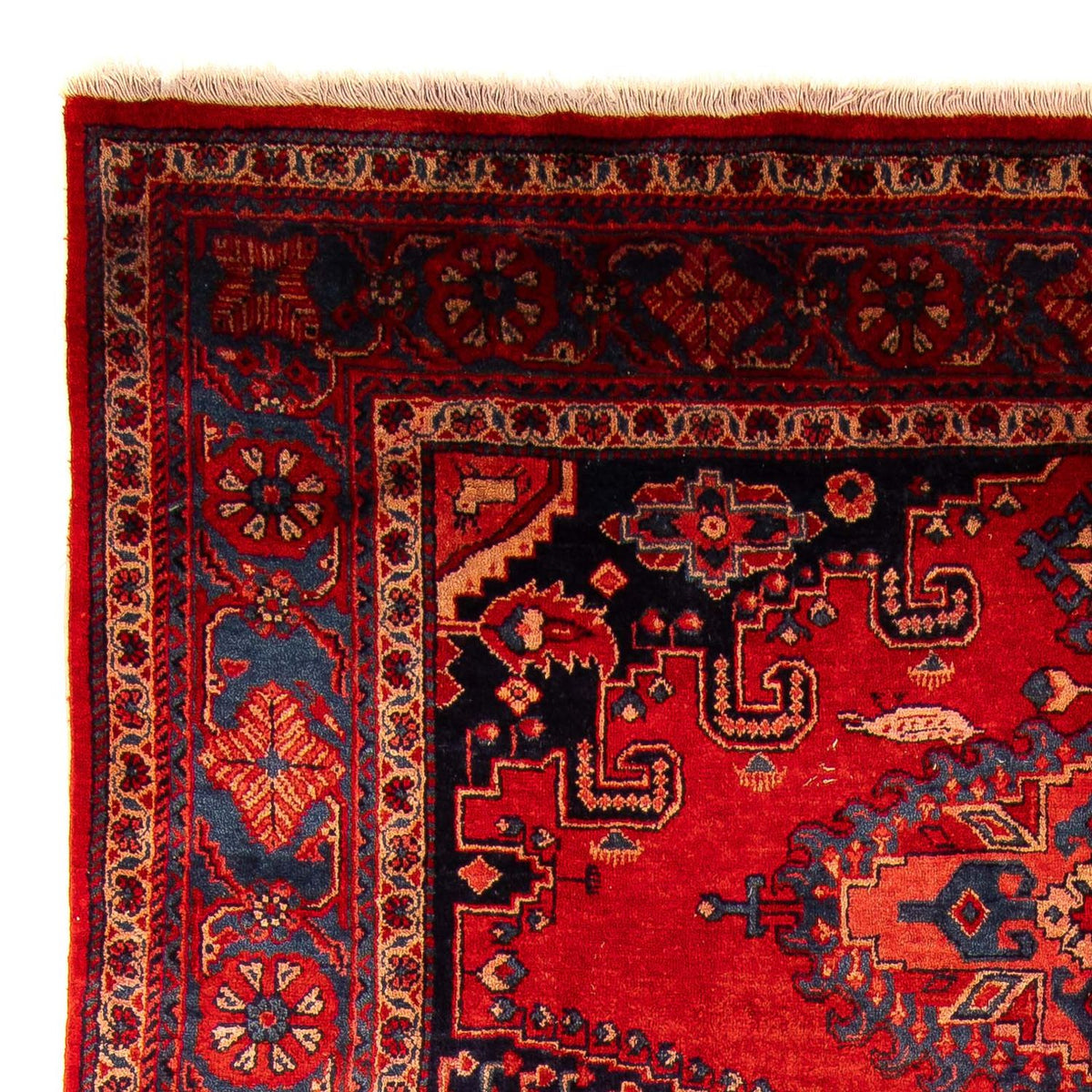 Wiss Rug 210x333cm - Persian Rugs