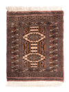 Pakistani Rug 61x77cm - Oriental Rug - Rectangle / Brown / 61 x 77 cm Rectangle