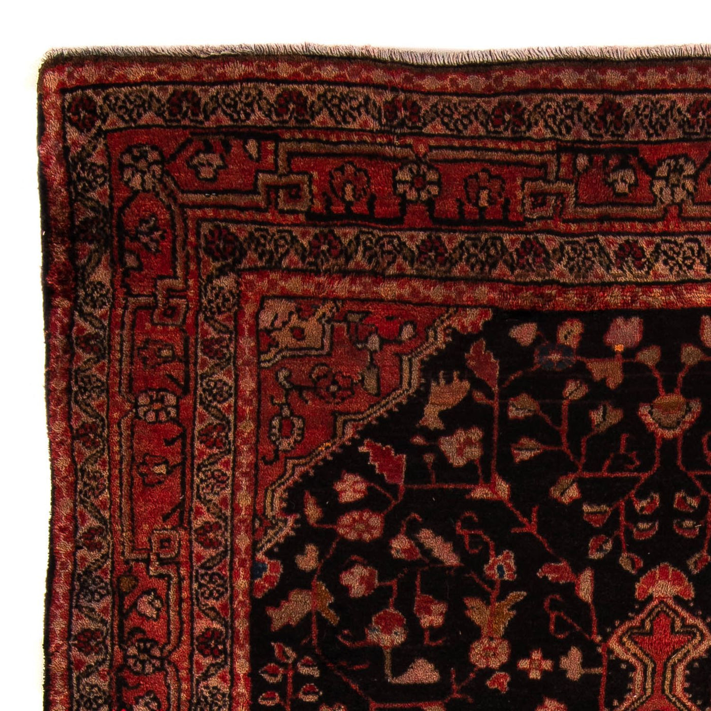 Malayer Rug 164x120cm - Persian Rugs