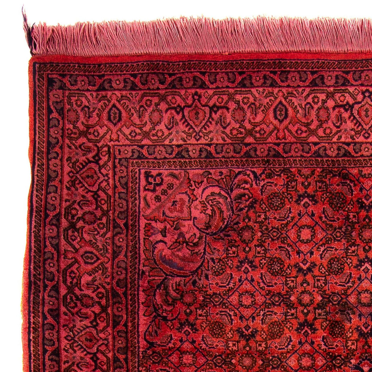 Perser Rug - Bidjar - 176 x 113 cm - light red