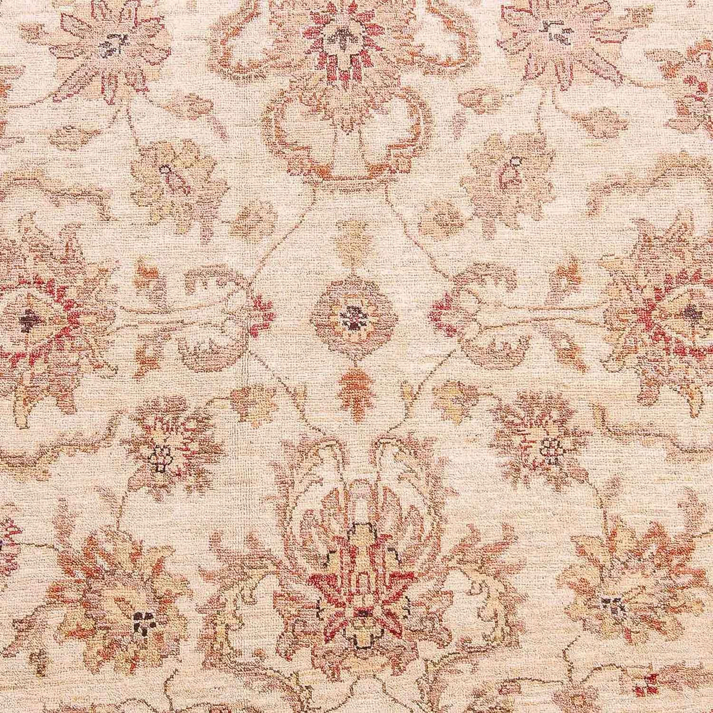 Ziegler Rug 309x239cm - Oriental Rug