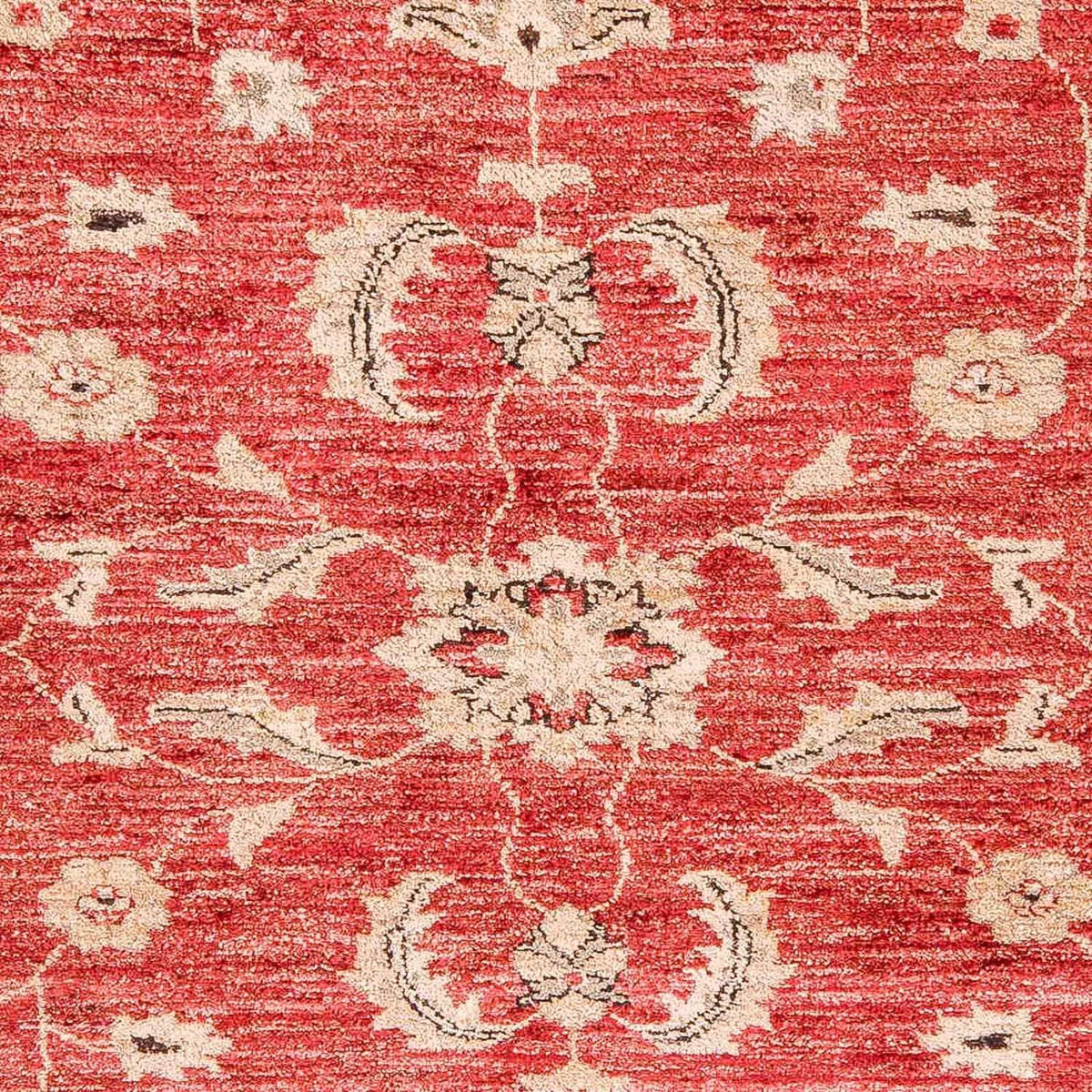 Ziegler Rug - 327 x 239 cm - red