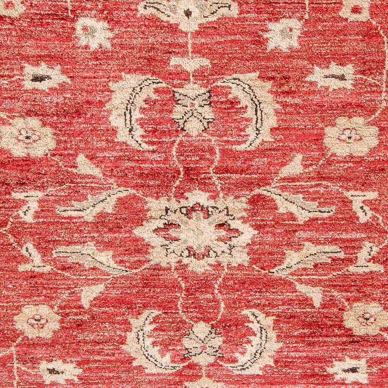 Ziegler Rug - 327 x 239 cm - red