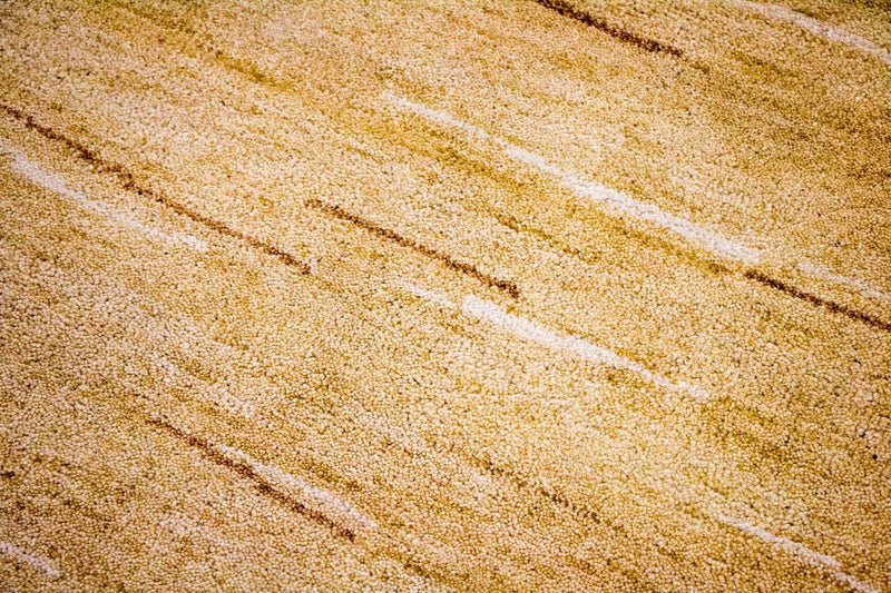 Gabbeh Rug - Indus - 242 x 150 cm - multicolored