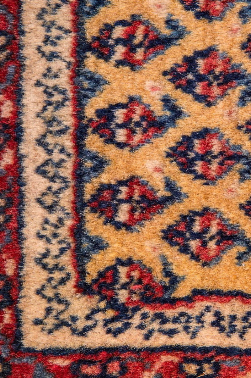 Perser Rug - Nomadic - 288 x 238 cm - beige