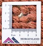 Nepal Rug - 140 x 70 cm - multicolored