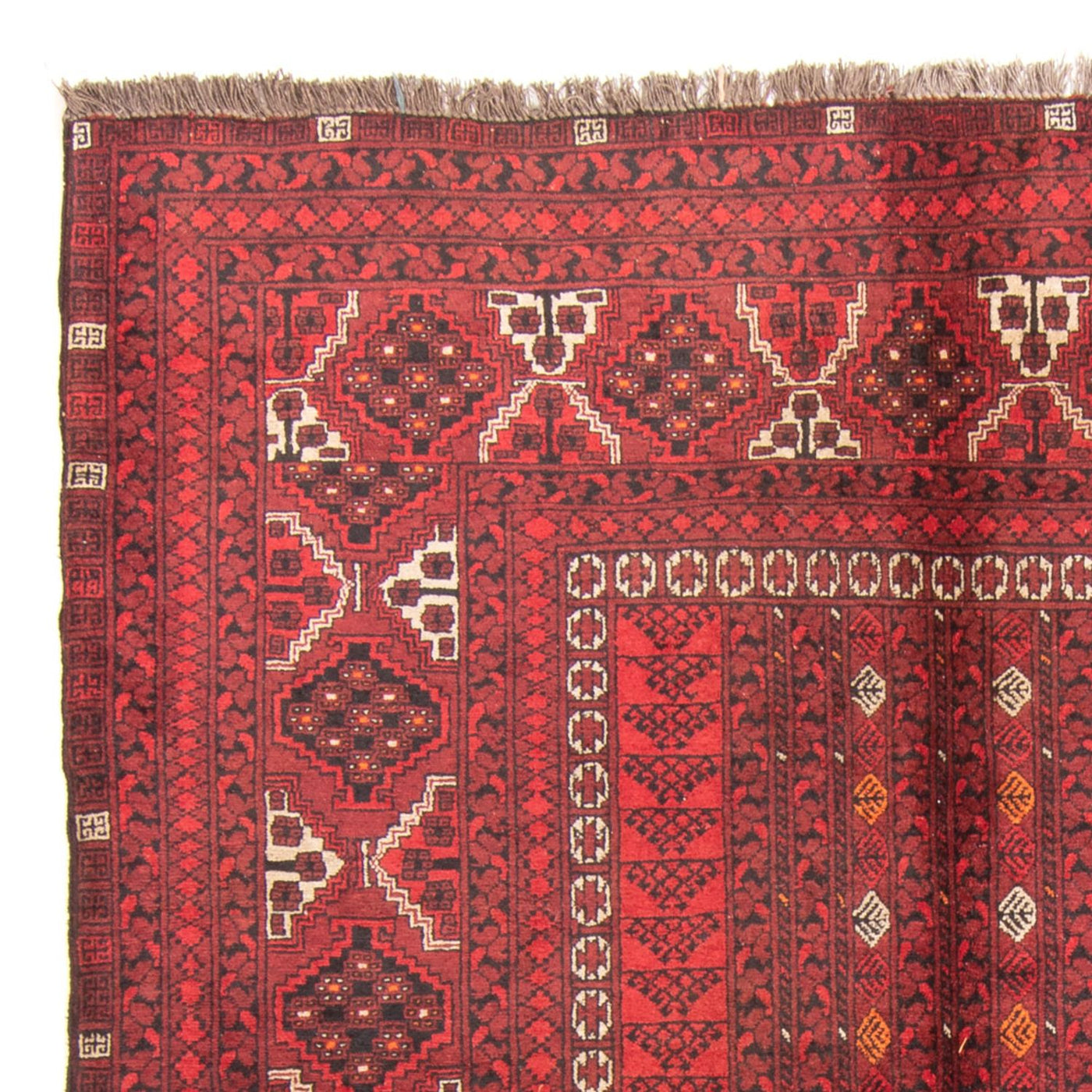 Turkaman Rug 238x164cm - Persian Rugs