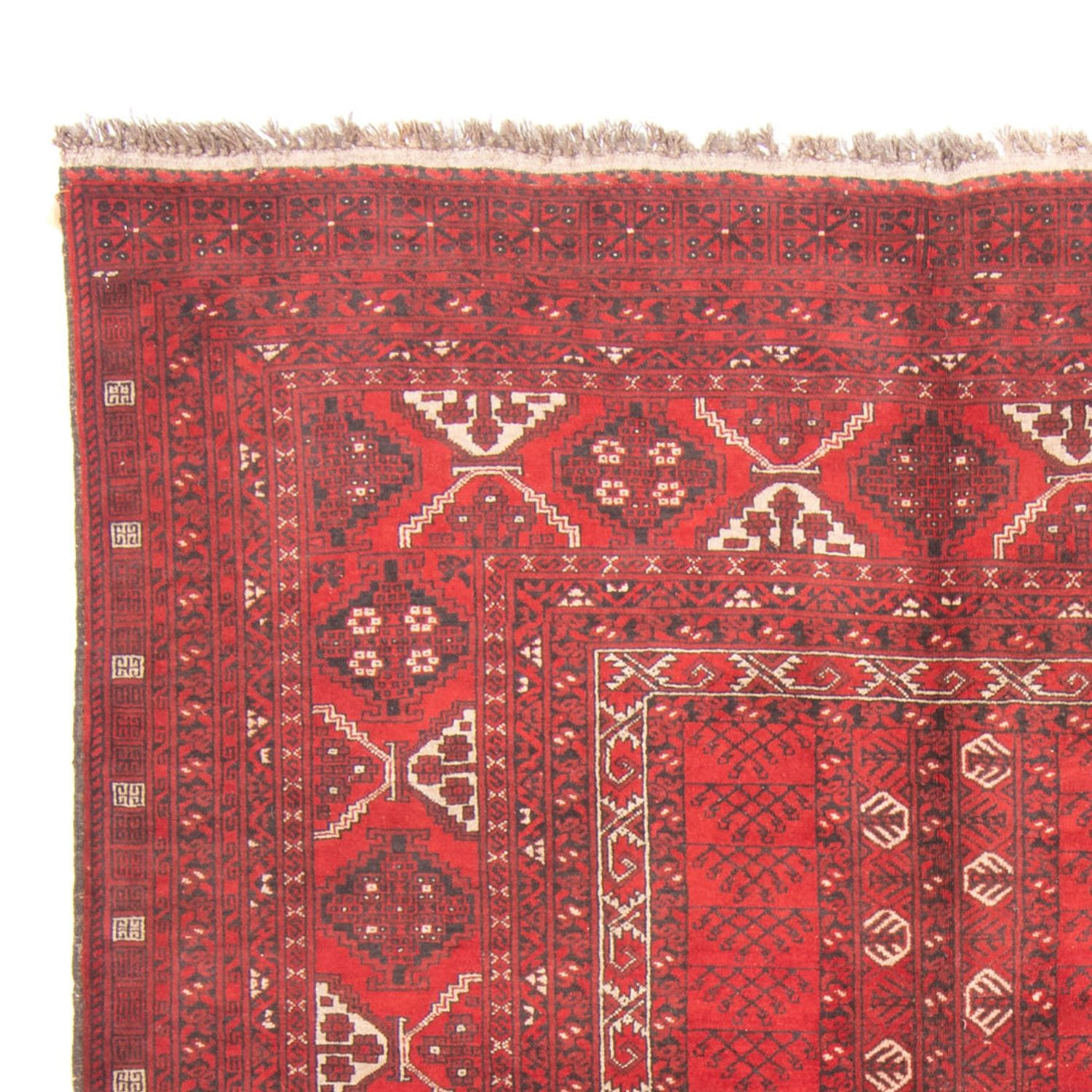 Turkaman Rug 236x159cm - Persian Rugs
