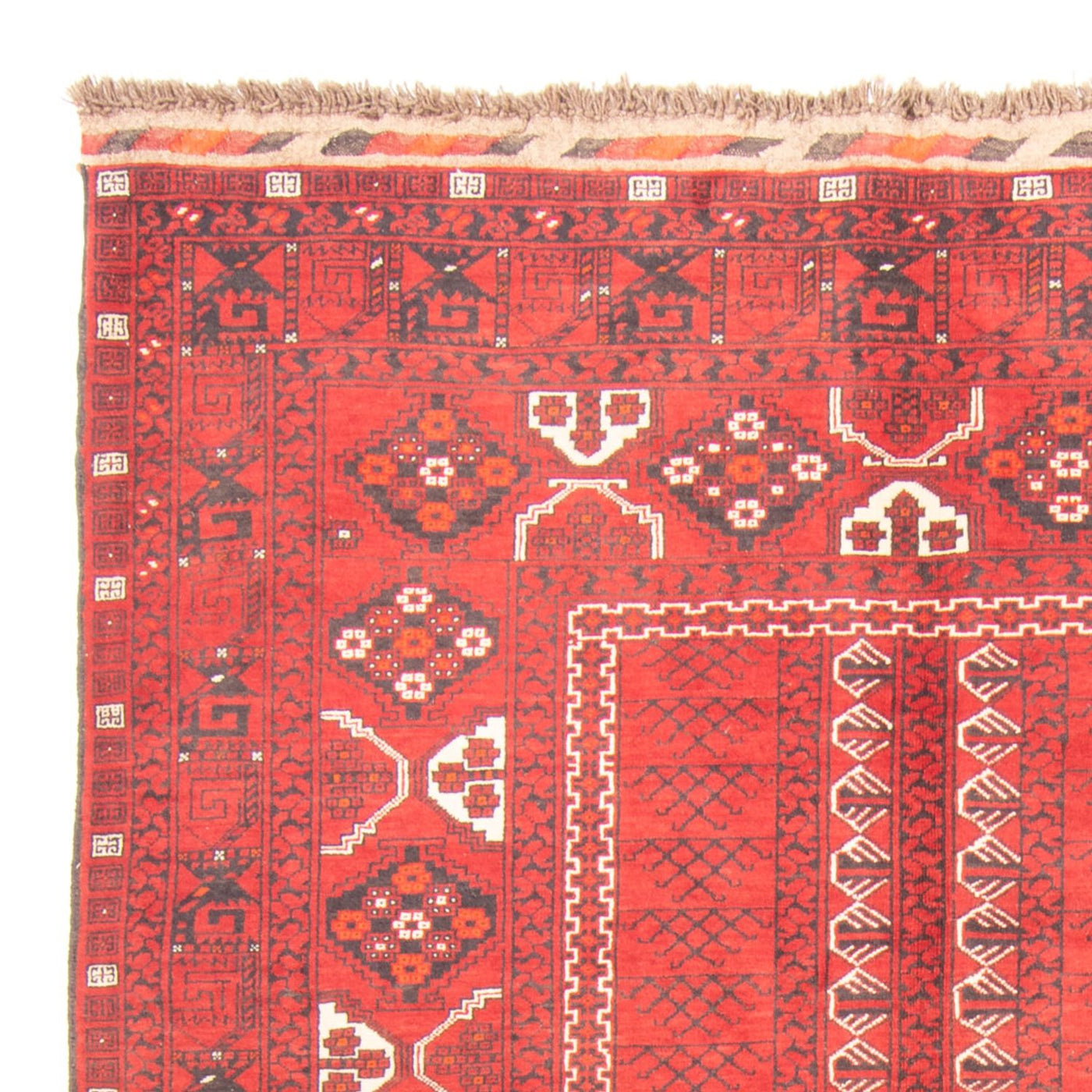 Turkaman Rug 237x158cm - Persian Rugs