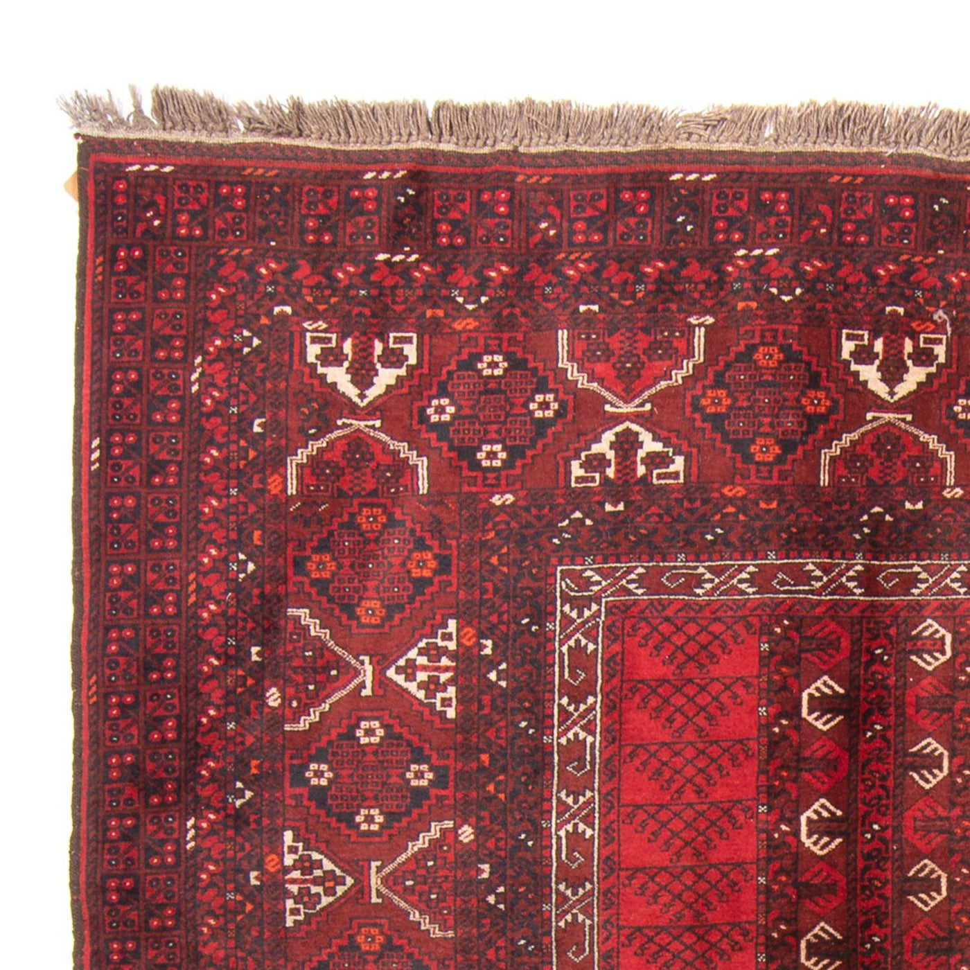 Turkaman Rug 237x158cm - Persian Rugs