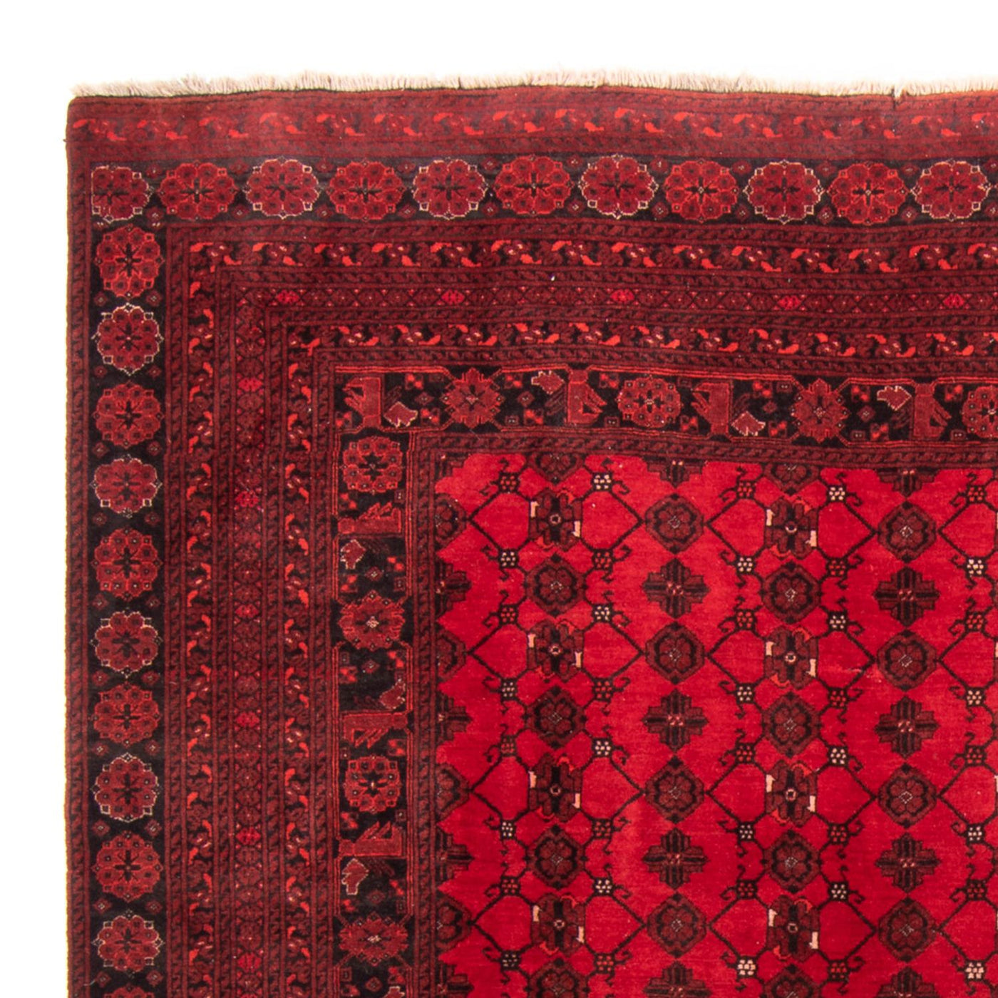 Turkaman Rug 257x178cm - Persian Rugs