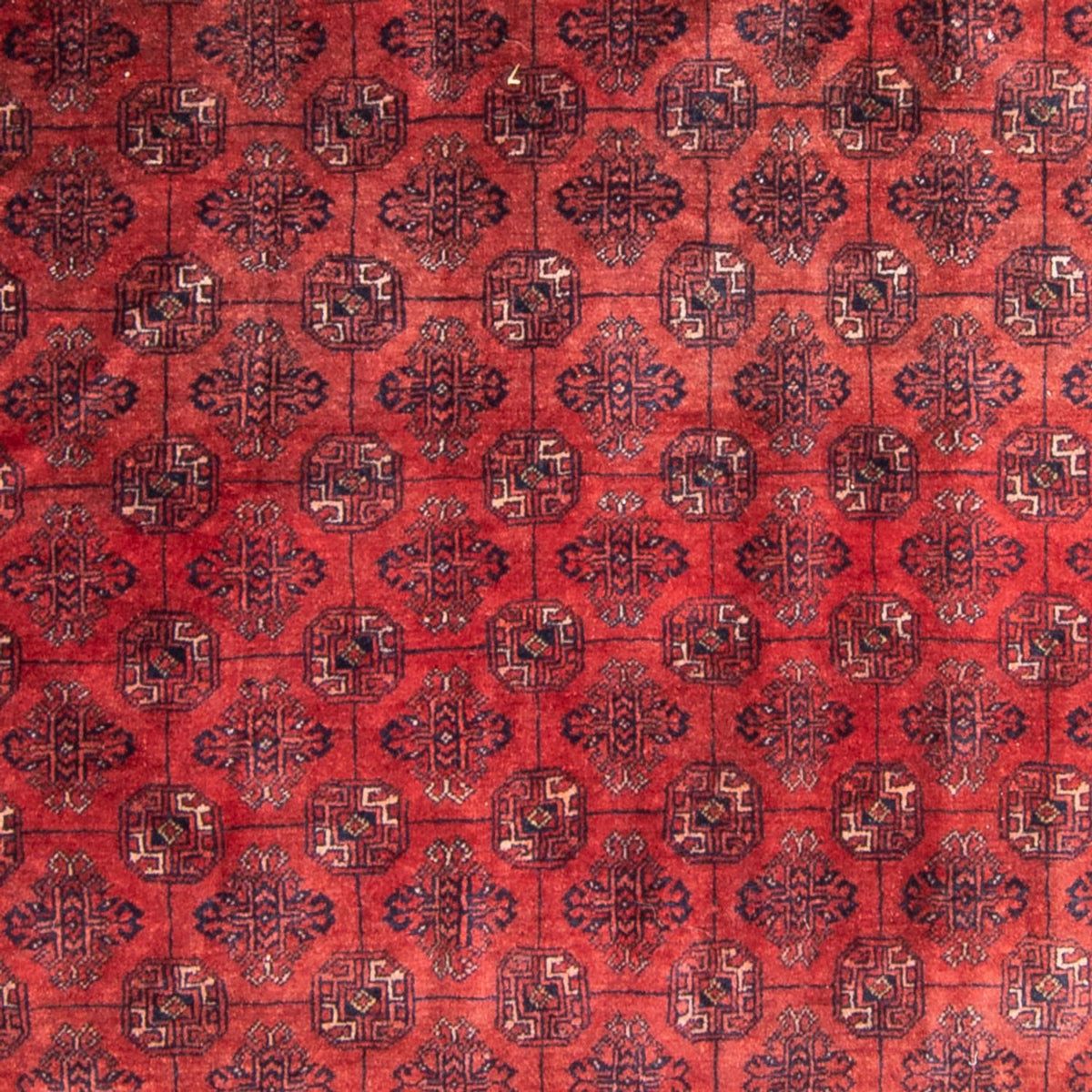 Turkaman Rug - 305 x 202 cm - red