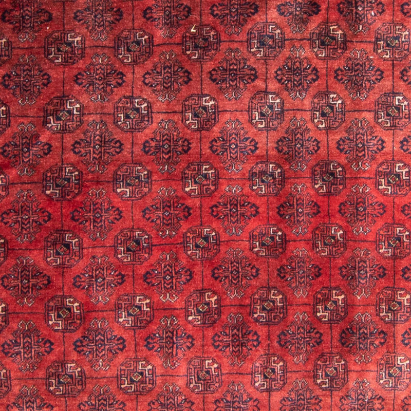Turkaman Rug - 305 x 202 cm - red