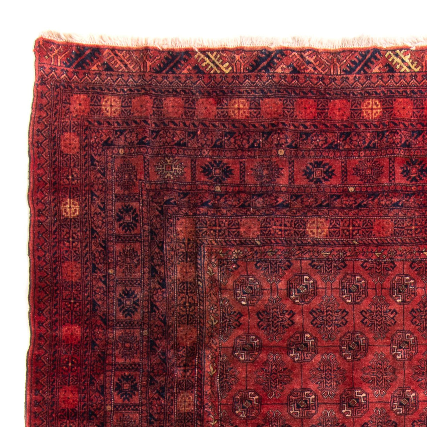 Turkaman Rug 305x202cm - Persian Rugs