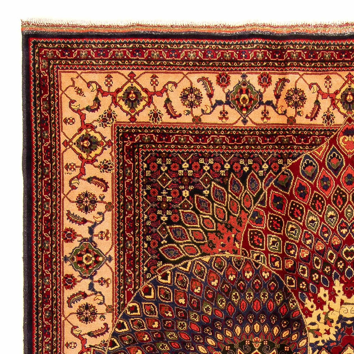 Afghan Rug - 279 x 198 cm - multicolored