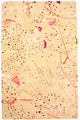Designer Rug 244x155cm - Designerteppich