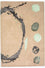 Designer Rug - 179 x 121 cm - beige