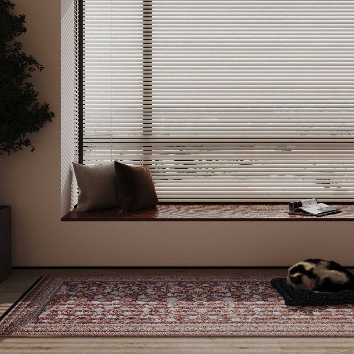 DKGY12-Dorsa-200x100