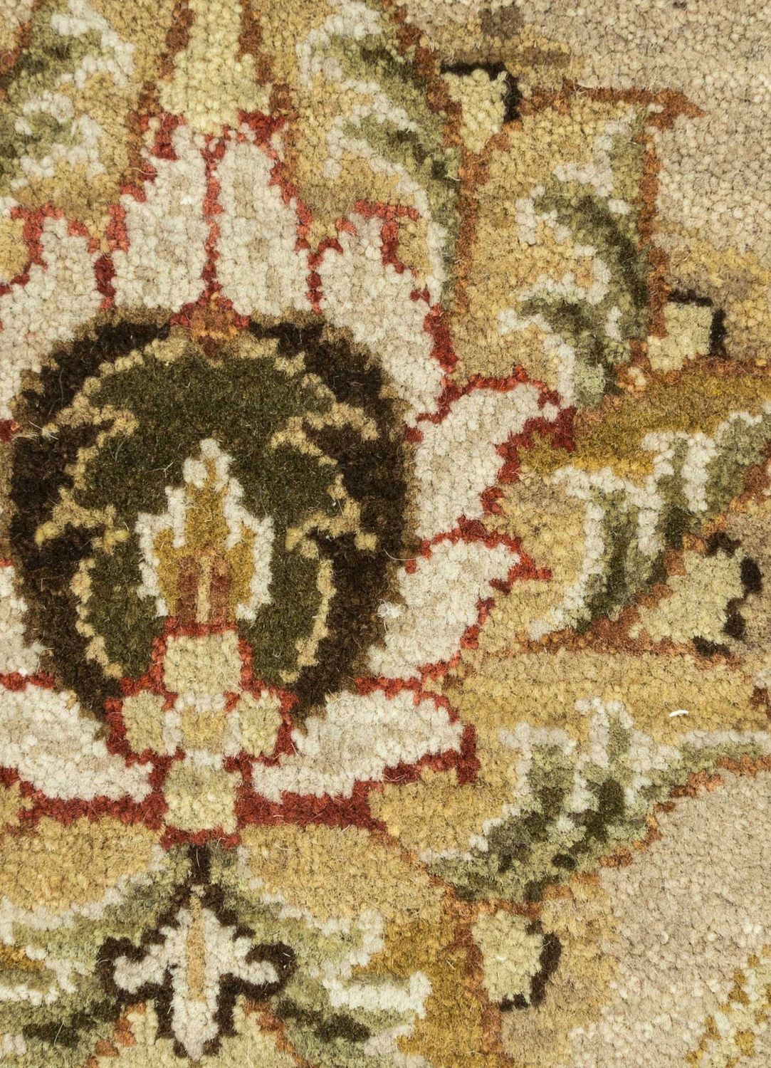 DP02-RUG1082030-240x75
