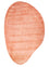 Designer Rug other shape  - 170 x 257 cm - orange