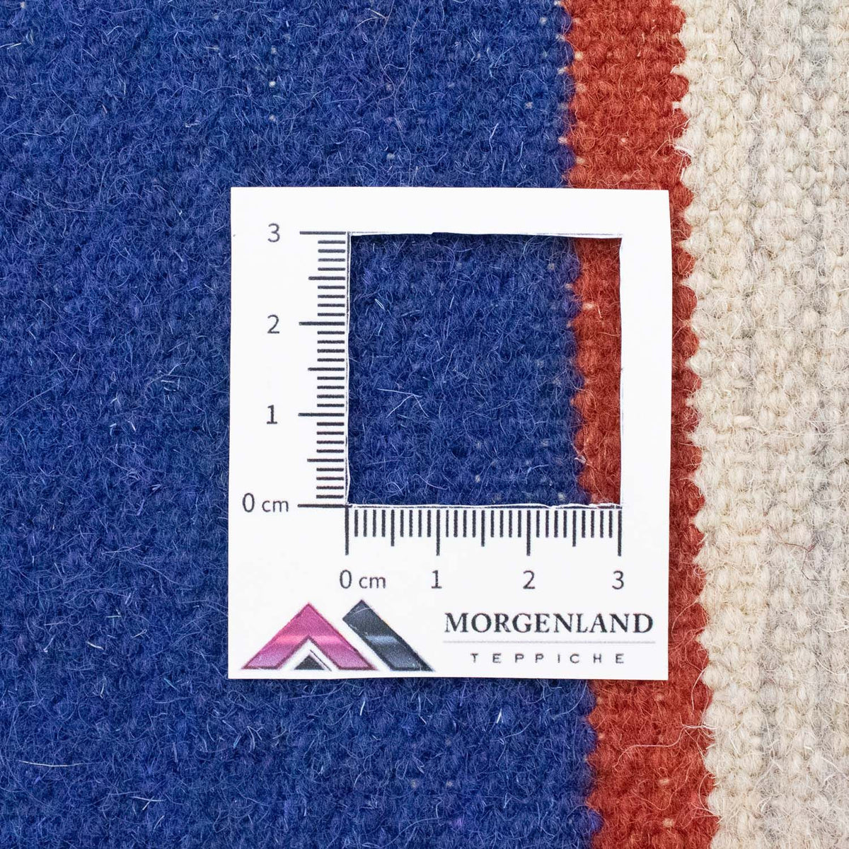 Kelim Rug - Trendy - 300 x 200 cm - beige