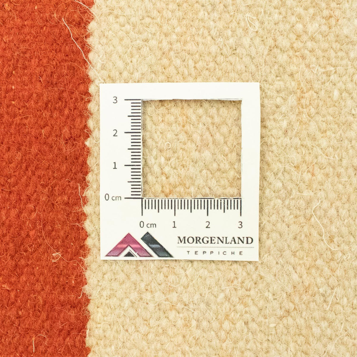 Kelim Rug - Trendy - 300 x 200 cm - beige